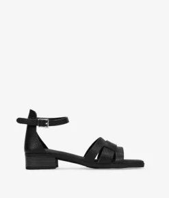 Bosanova Sandales Plates | Sandales À Talons | Sandales en cuir noir à petit talon