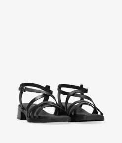 Bosanova Sandales Plates | Sandales À Talons | Sandales en cuir noir à petit talon